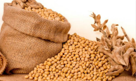 2021年12月29日全国各省市豆粕价格行情，近一月多来连续拉升，国内豆粕现货均价3600元/吨左右