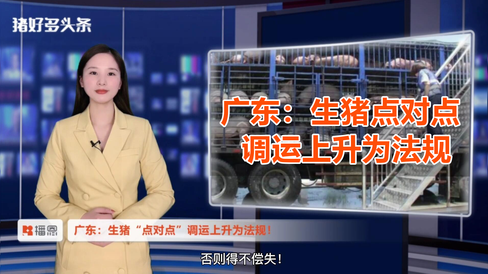 广东：生猪“点对点”调运上升为法规！生猪运输将越来越严格！