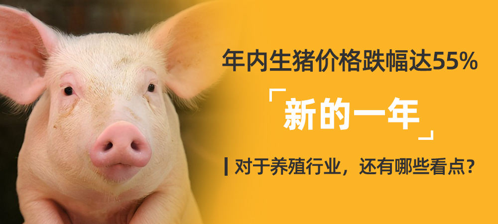 年内生猪价格跌幅达55%，新的一年，对于养殖行业，还有哪些看点？