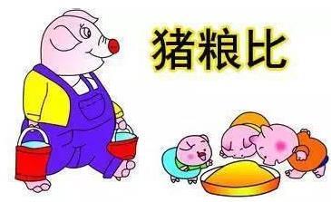 九江市发改委成本调查：猪粮比应确定为8：1比较合适