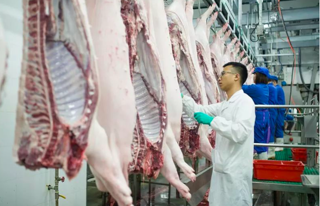 2021年12月31日全国各省市白条猪肉批发均价报价表，大部分地区白条肉价格小幅下调，猪肉还会更便宜？