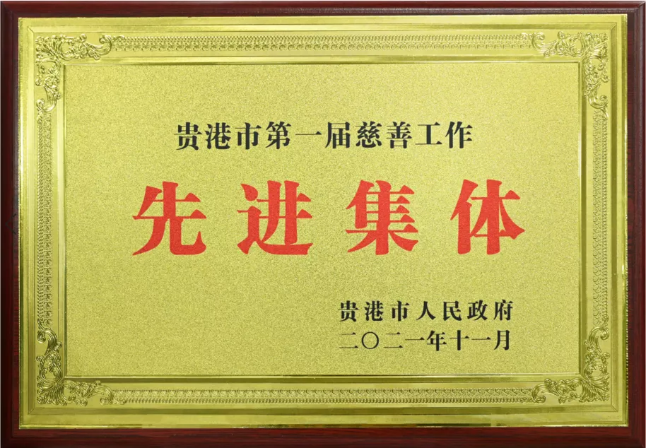 表彰！广西扬翔慈善基金会获评“第一届慈善工作先进集体”