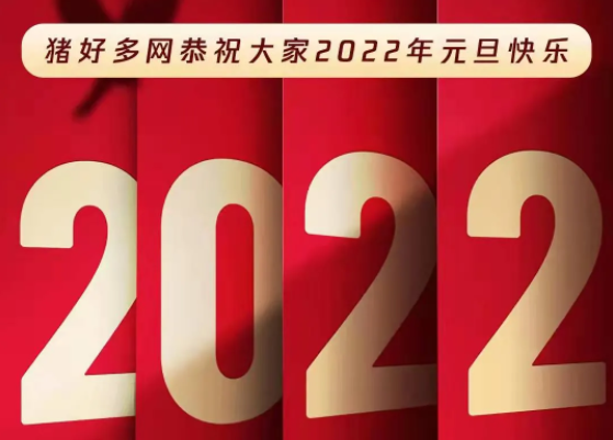 2022新年献词：朝着对的方向，猪业发展可以慢一点、稳一点