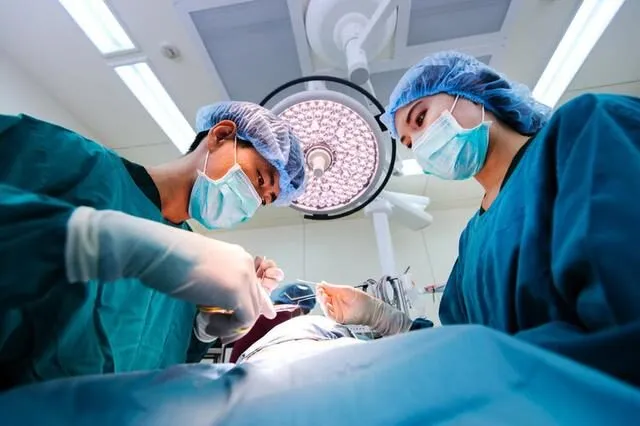 美国完成一项将猪肾脏移植给人体的手术