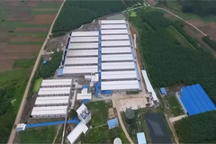 实至名归！扬翔种猪场入选第一批国家级动物疫病净化场