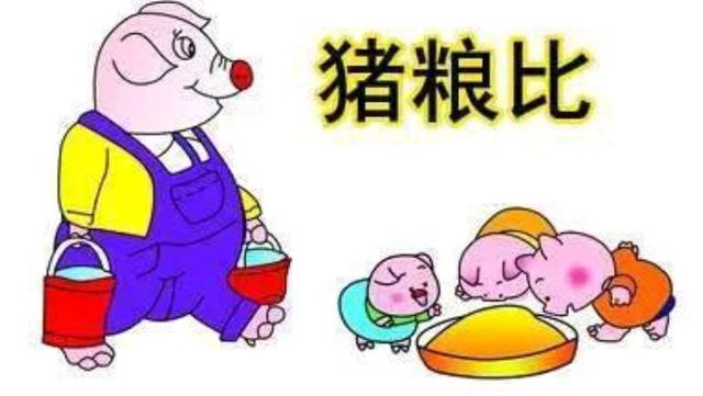 春节临近，是猪肉又要涨价了？还是“猪肉比菜贱”？