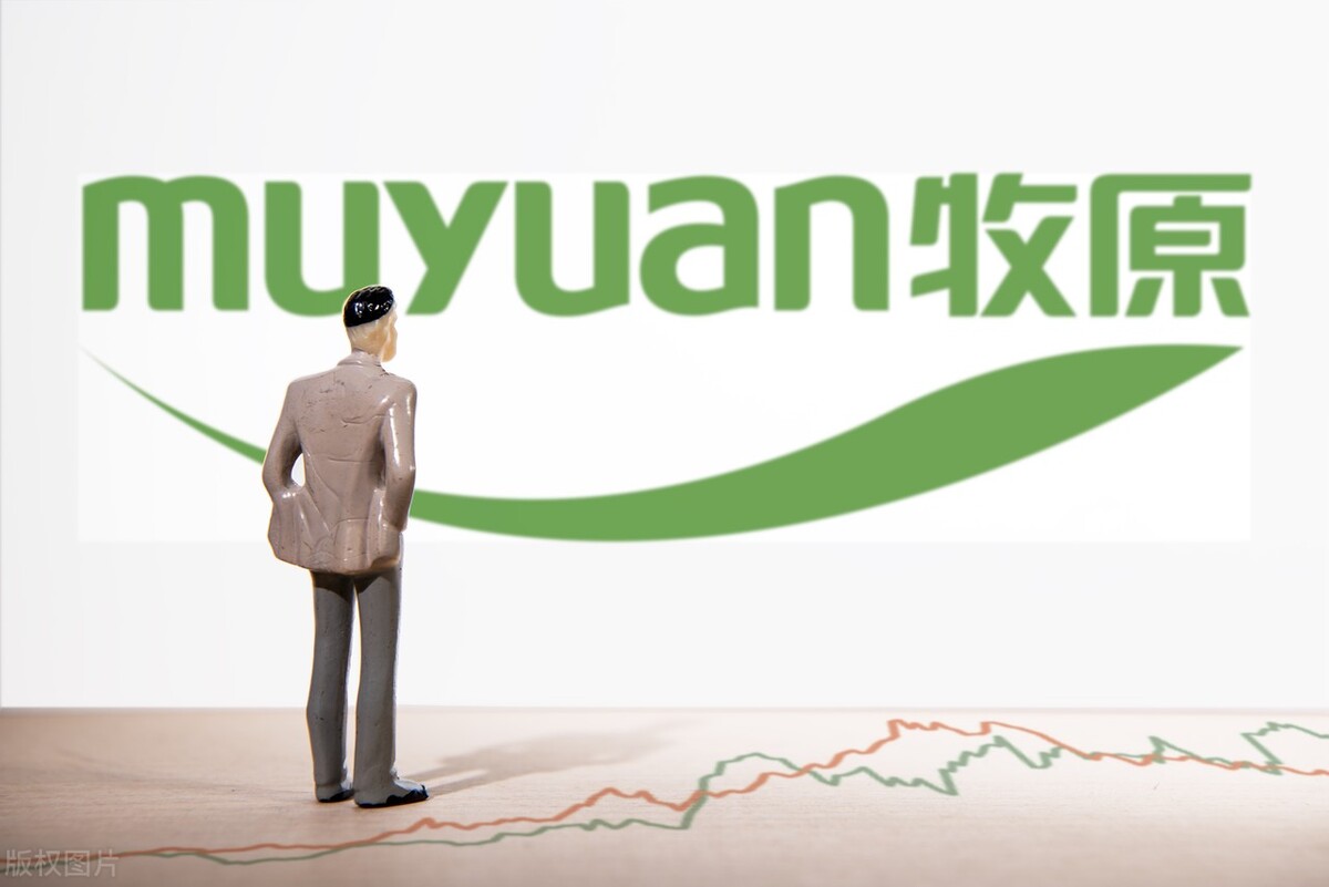 猪肉行业将迎来拐点：这6家企业，有望站上风口