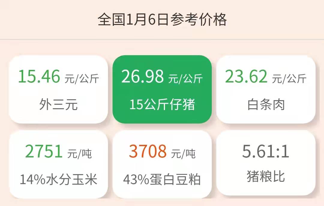1月6日仔猪价格：猪价全线飘绿！牧原、天邦等仔猪销量遭拦腰砍