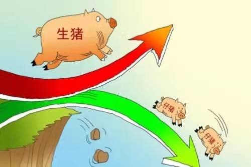 猪肉行业将迎来拐点：这6家企业，有望站上风口