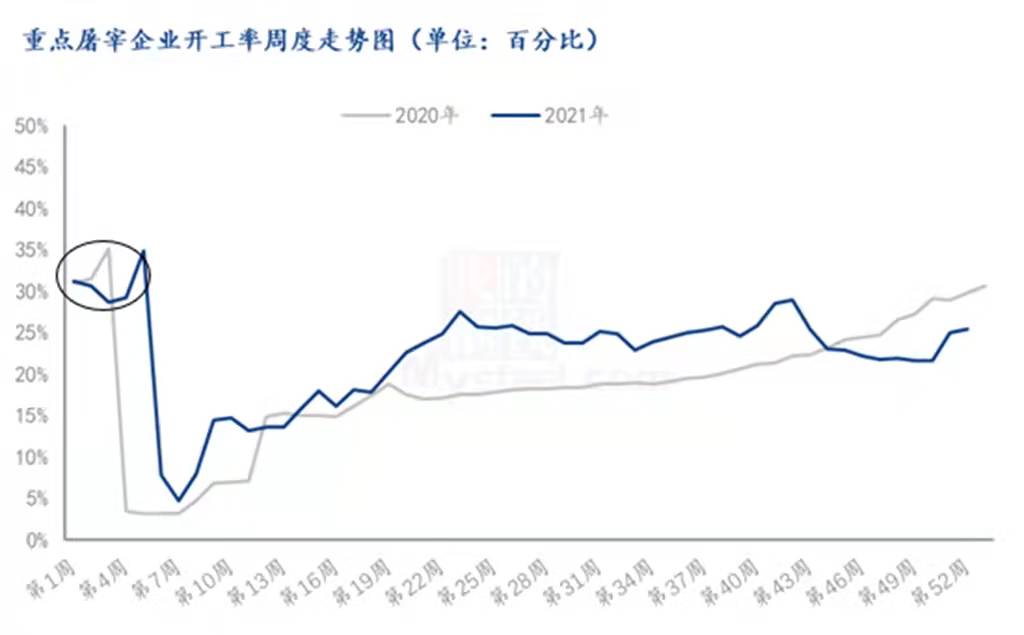 猪价3天下滑1元，黑龙江率先上涨，但南方仍跌势明显，此次跌价原因为何？