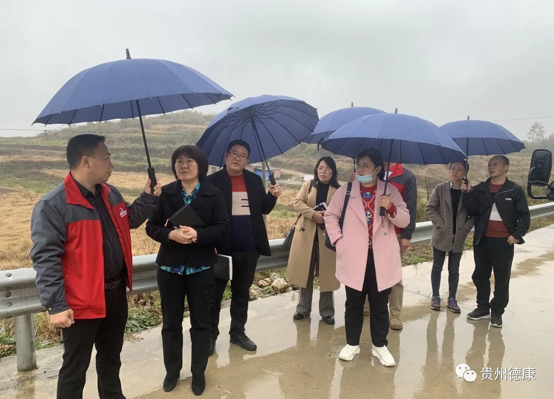 无非洲猪瘟小区建设项目批复—贵州省两家公司上榜