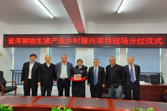 分红22.77万！铁骑力士云南墨江首个1211生猪代养户喜获分红