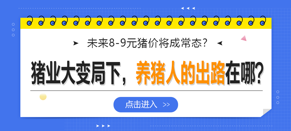 未来，8-9元猪价将成常态？猪业大变局下，养猪人的出路在哪？
