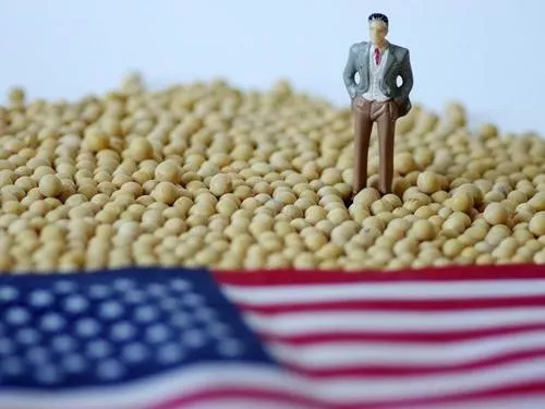 美国对华出口装运91万吨大豆，出口销售总量同比减少27.3%