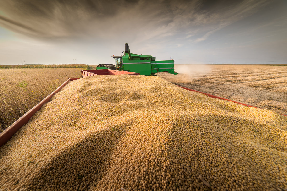 回顾2021豆粕市场：90%豆粕以上依赖于进口，国内市场大起大落！