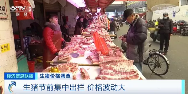 生猪节前集中出栏，价格“腰斩”，一头猪亏损近200元！接下来能涨吗？
