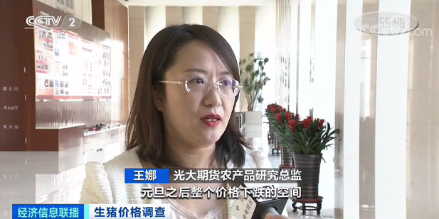 旺季不旺？！生猪节前集中出栏，价格下跌超50%！多地猪价跌到每斤8元以下