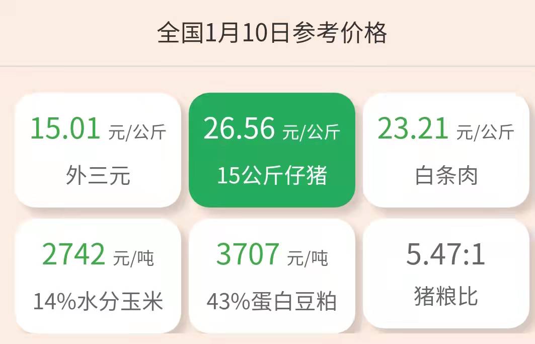 1月10日仔猪价格：猪价节后或12元/公斤？仔猪价格受到“牵连”？