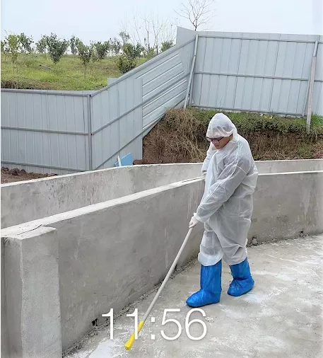 热烈祝贺特驱新业务模式首家合作猪场进猪成功