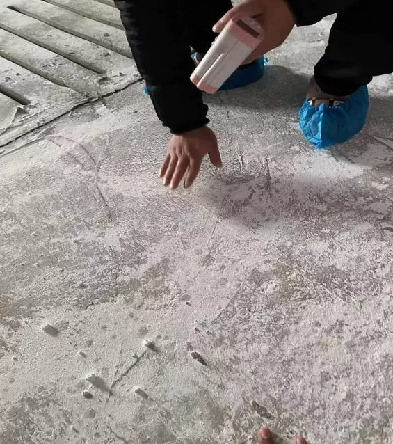 热烈祝贺特驱新业务模式首家合作猪场进猪成功