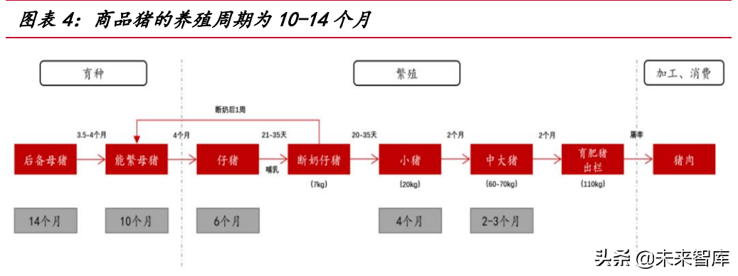 我国生猪养殖市场空间超万亿，2022年或为产业布局最佳时机？
