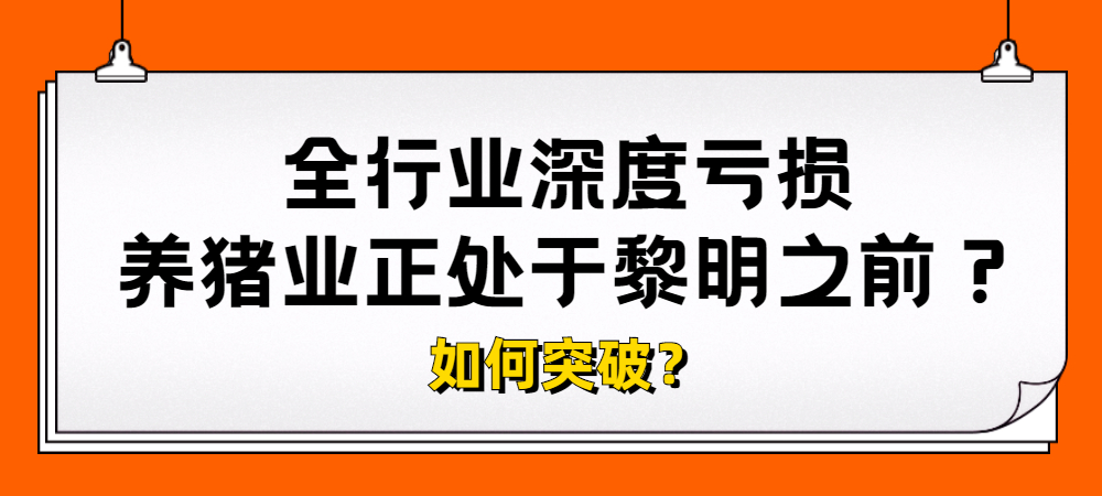全行业深度亏损，养猪业正处于黎明之前？