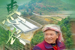 助力乡村振兴，2021德康一直在路上！
