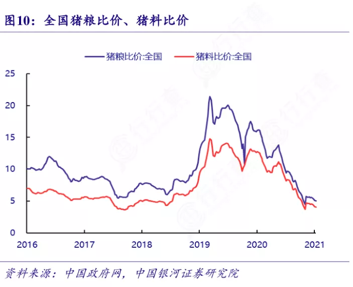 全行业深度亏损，养猪业正处于黎明之前？