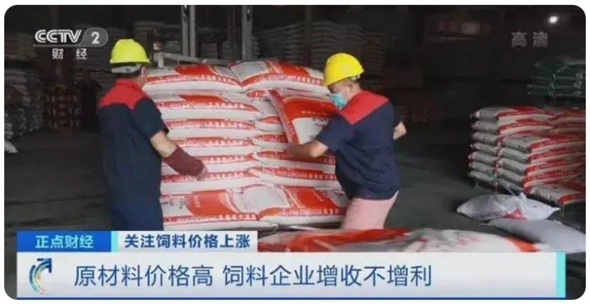 全行业深度亏损，养猪业正处于黎明之前？