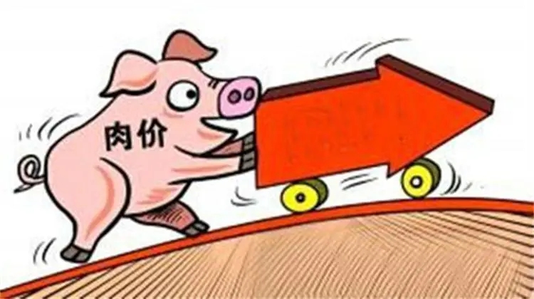 1月16日猪价：小幅反弹！市场消费开始“发力”，猪价开启上涨？