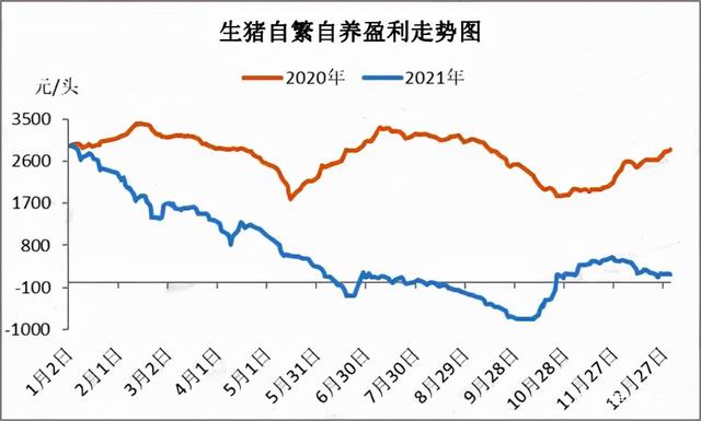 2022年猪价能否回到10元斤复盘2021年生猪市场预见未来