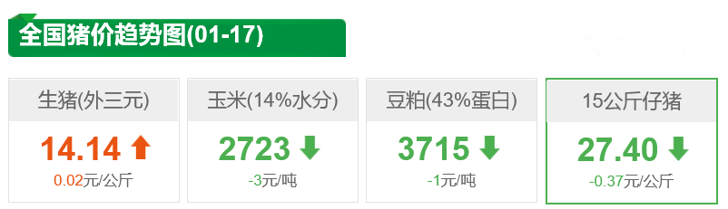 1月17日仔猪价格：连涨4天后小幅回落，短期内仍将维稳