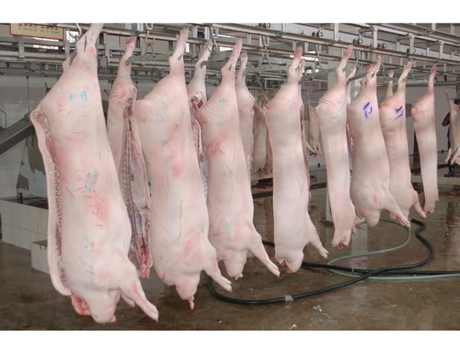 2022年01月17日全国各省市白条猪肉批发均价报价表，终端走货不畅，白条猪肉上涨动力不足