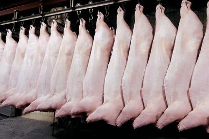 2022年01月18日全国各省市白条猪肉批发均价报价表，批发市场剩货太多，市场看跌情绪较浓！
