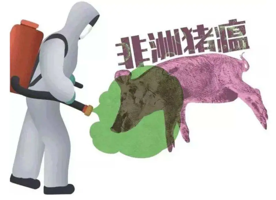 非洲猪瘟常态下家庭农场生物安全策略