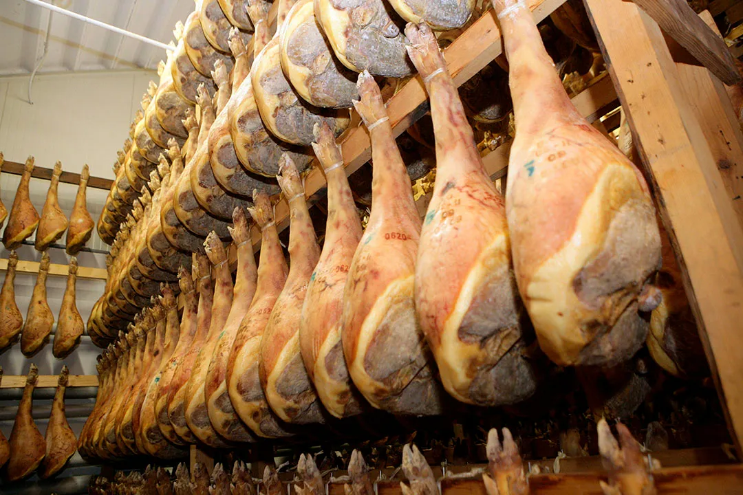 非洲猪瘟进展：墨西哥虚惊一场，意大利猪肉出口被禁