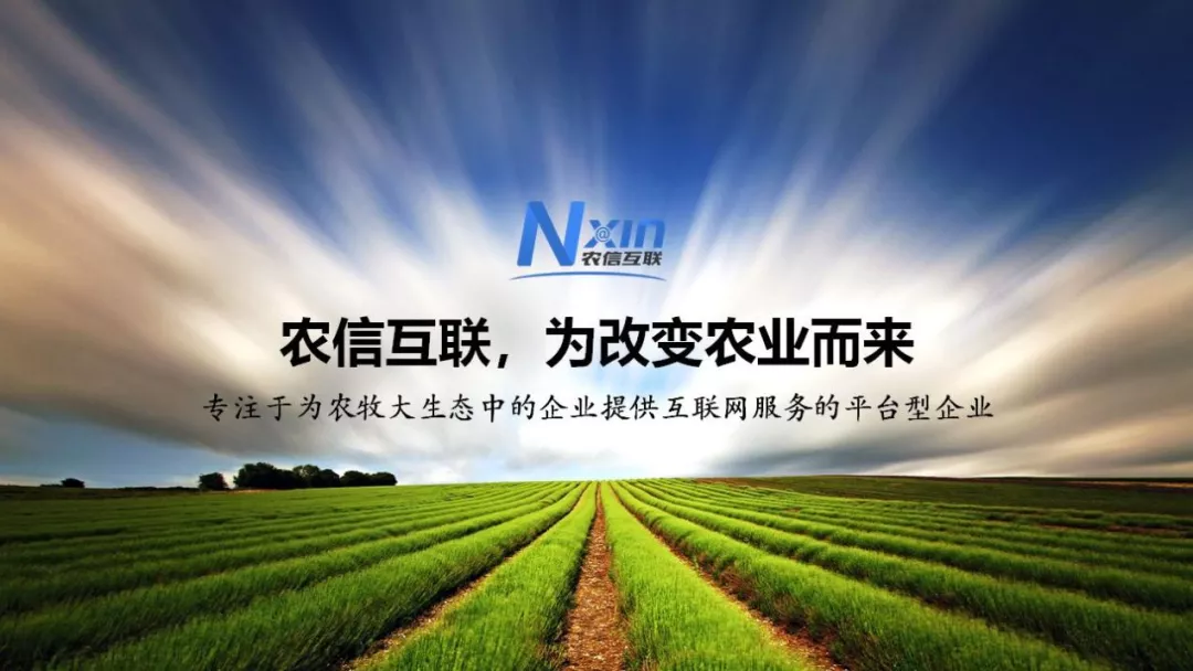数智化养殖 打造养猪新模式—专访北京农信互联联合创始人、农芯数科副总经理及市场负责人夏阿林