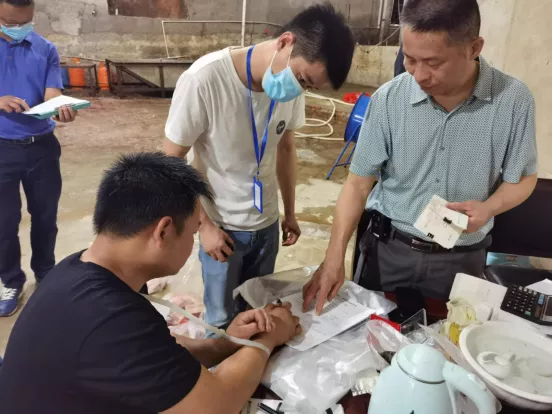 福建泉州：严打重处生猪屠宰违法行为，保障上市猪肉产品质量