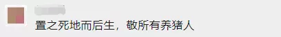 打赢“成本战”，实现“弯道超车”！扬翔优质种猪拼了