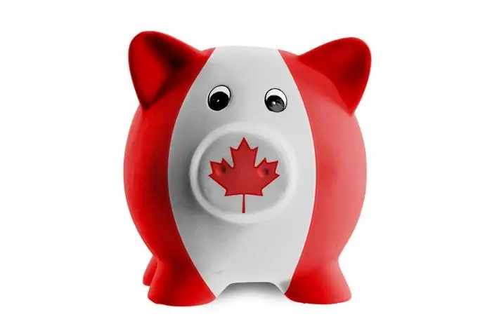 加拿大养猪业的产业概貌、猪业历史及福利计划
