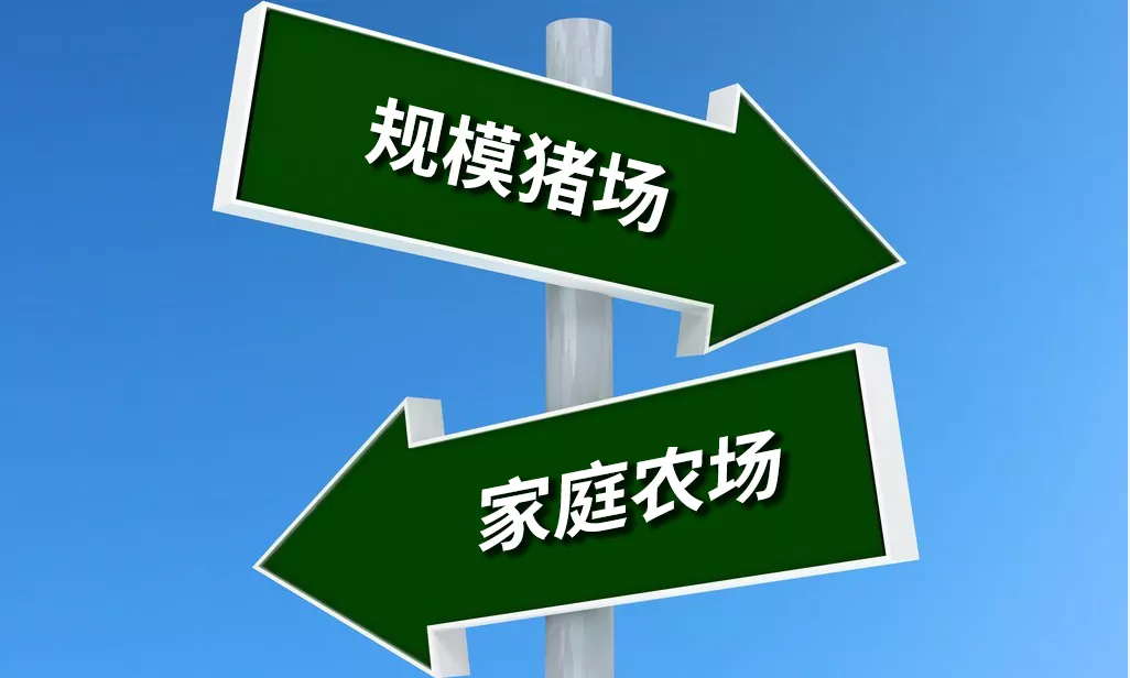 未来10年家庭农场将成养殖业主力军，规模猪场只占区区2成？