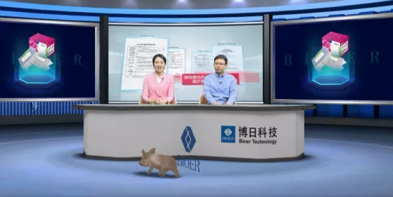 非洲猪瘟在实验室检测中应该注意哪些问题？