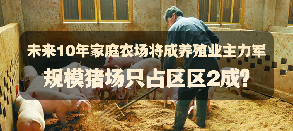 未来10年家庭农场将成养殖业主力军，规模猪场只占区区2成？