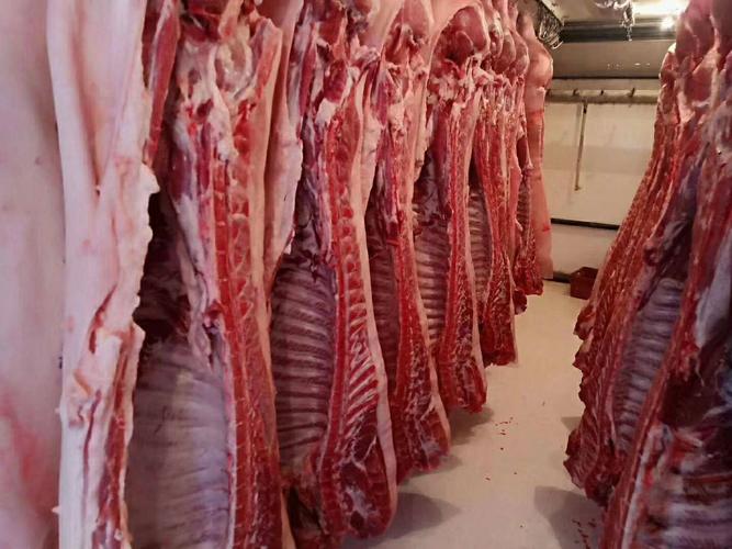 2022年01月25日全国各省市白条猪肉批发均价报价表，供应过剩，白条猪肉价格小幅回落