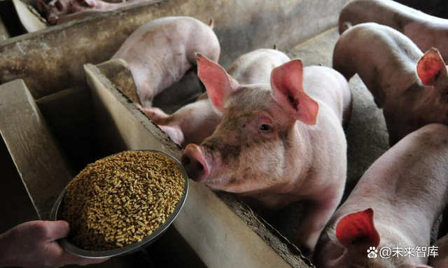 生猪养殖行业专题研究：2018年以来的猪周期复盘