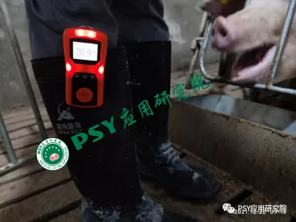 这样做，母猪配前饲喂量提升至4.5kg，断配率提升13.9%，有数据有真相！