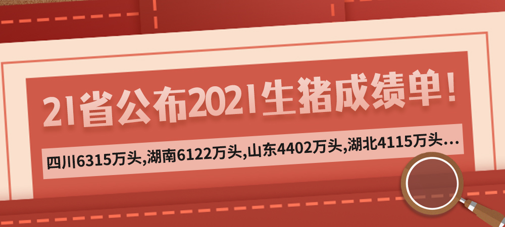 21省公布2021生猪成绩单！四川6315万头，湖南6122万头，山东4402万头，湖北4115万头…