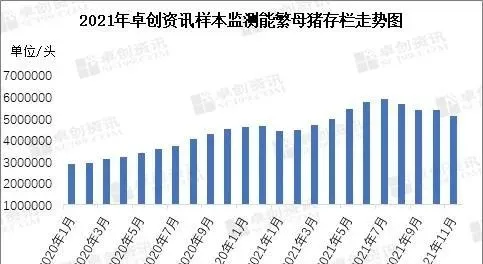 2022年生猪供应依旧充足？生猪走势会出现反转？
