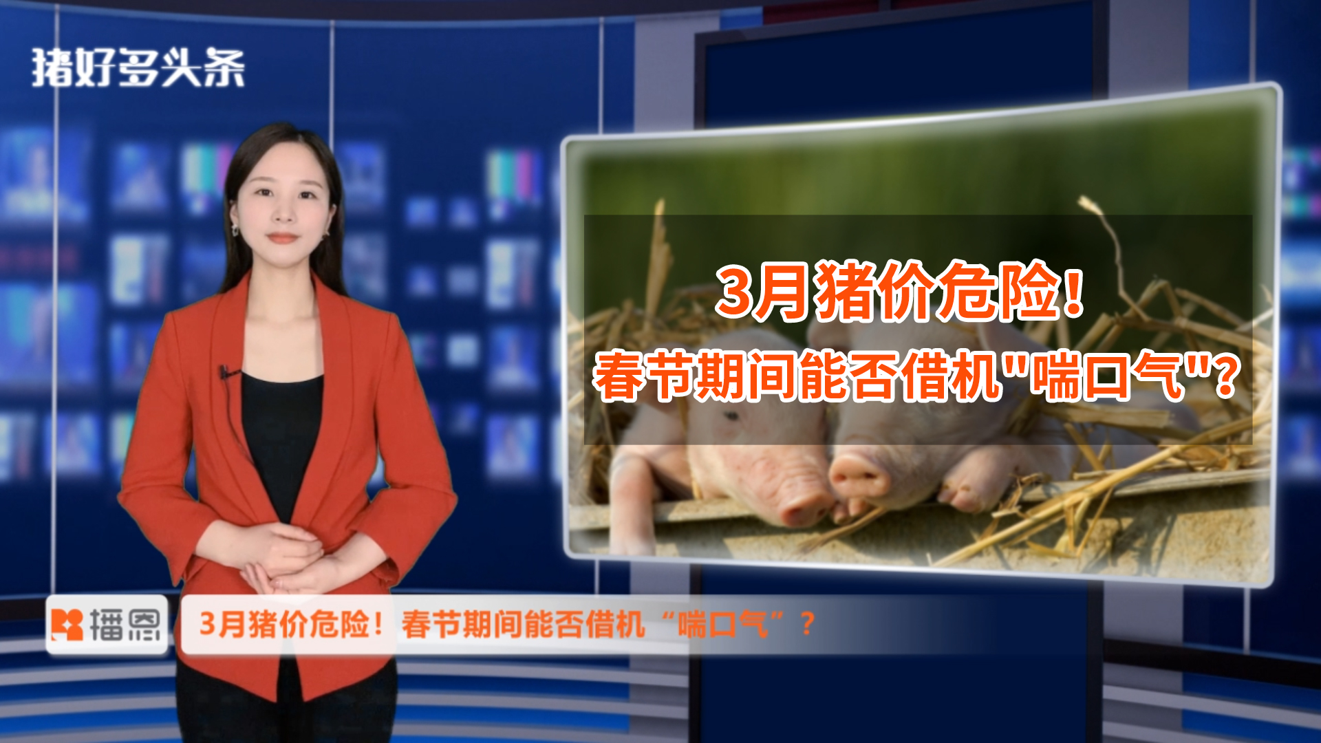 春节猪价持续低迷，供给压力难消化！机构：3月猪价更“危险”？