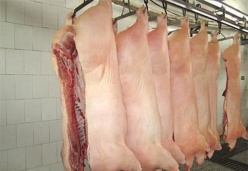 2022年01月28日全国各省市白条猪肉批发均价报价表，白条猪消费不及预期，屠宰量逐步下滑，采购积极性明显减弱